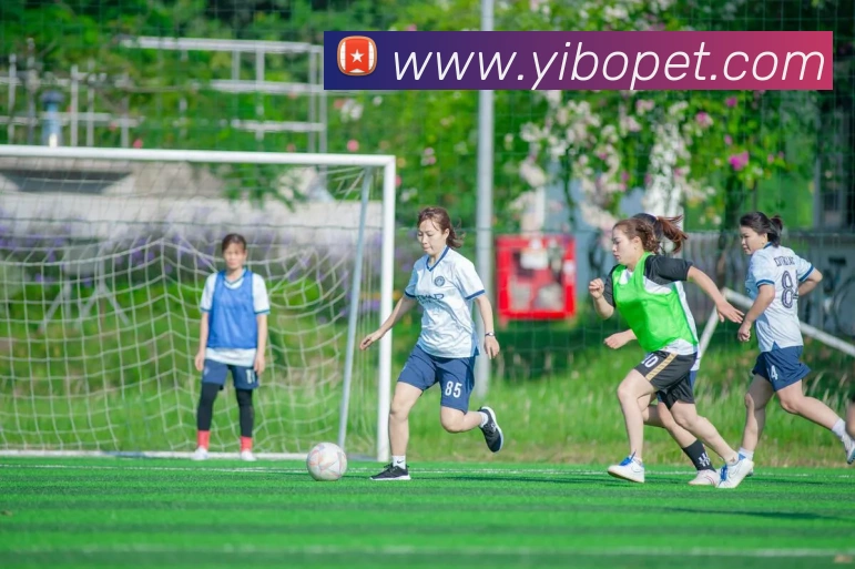 爱游戏全站App